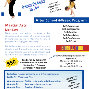 LifeLoop Martial Arts 4 Week Program